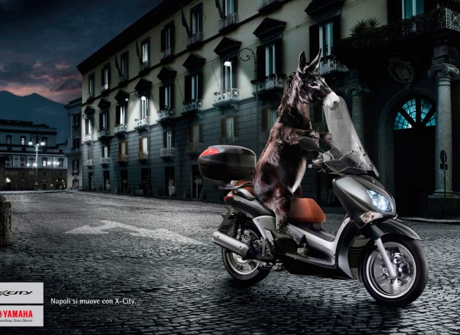 Xcity1